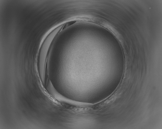 X0000083970960200702232014