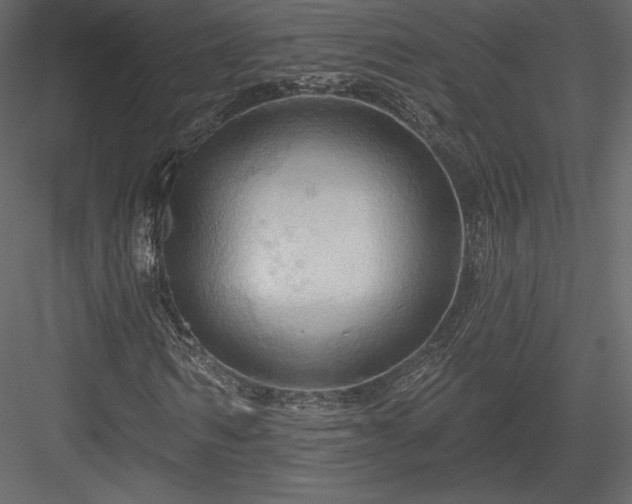 X0000083970962200702232013