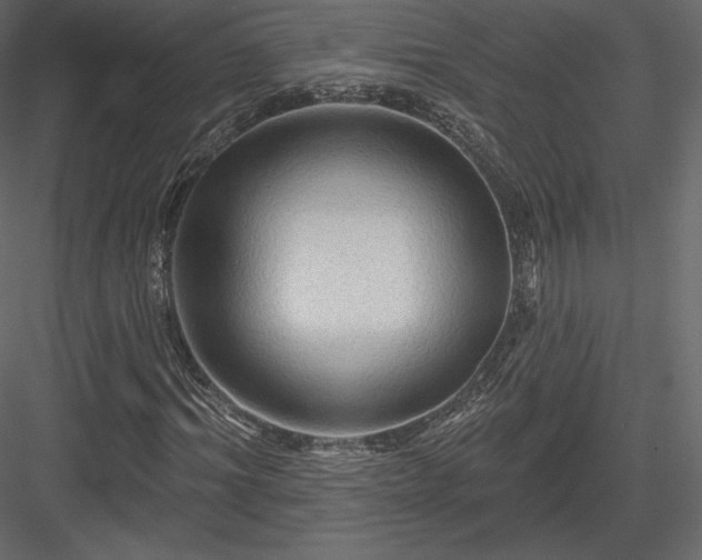X0000083970964200702232013