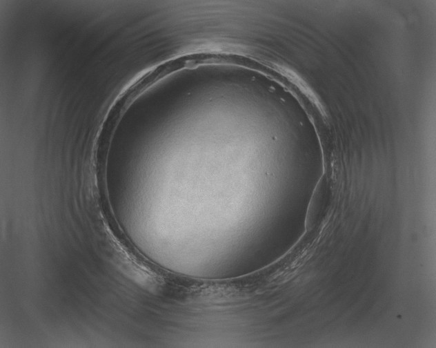 X0000083970972200702232013