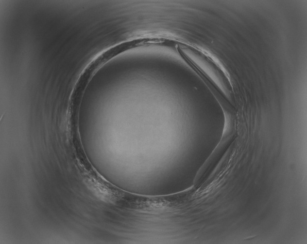 X0000083970975200702232013