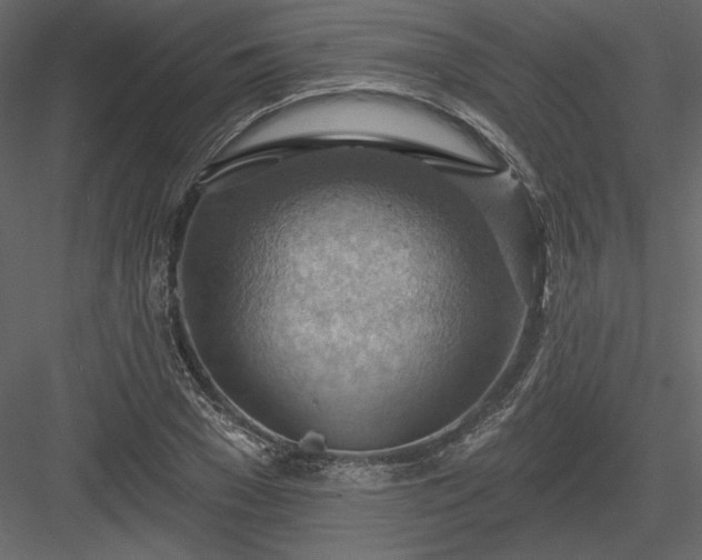 X0000083970977200702232013