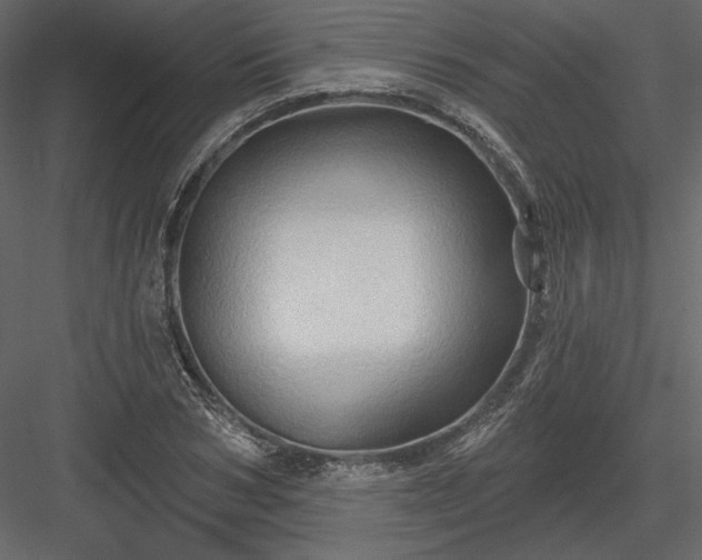 X0000083970978200702232013