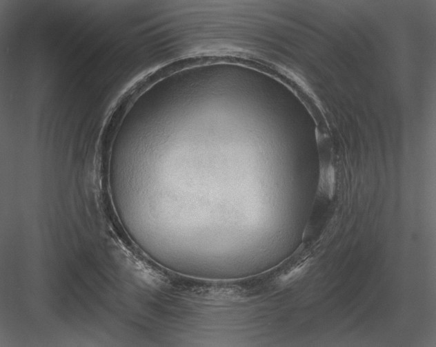 X0000083970979200702232013