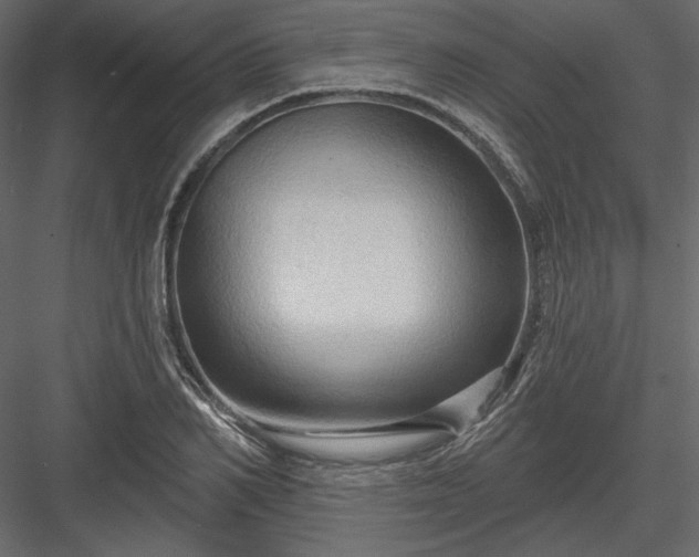 X0000083970982200702232013