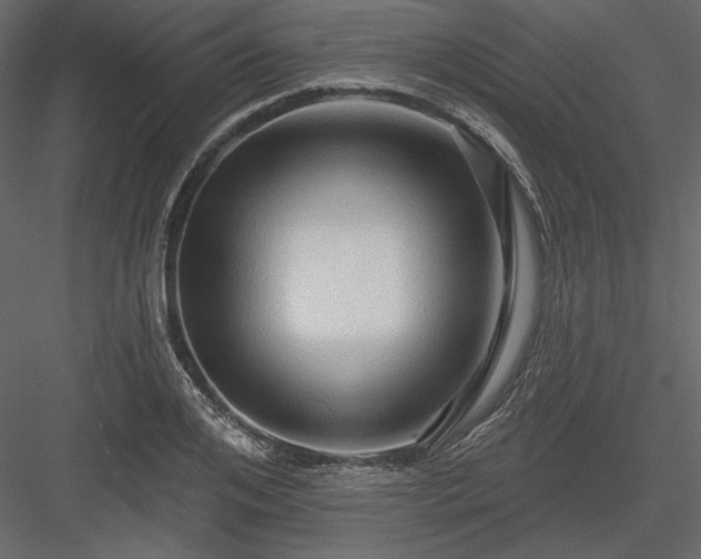 X0000083970984200702232013