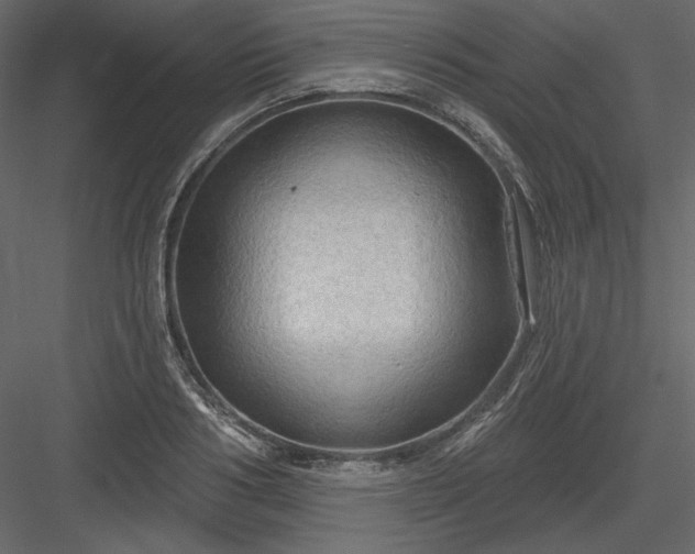 X0000083970986200702232013