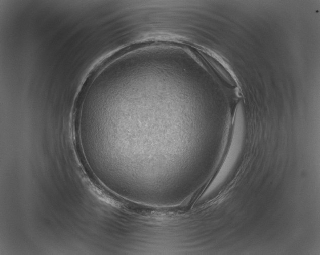 X0000083970987200702232013
