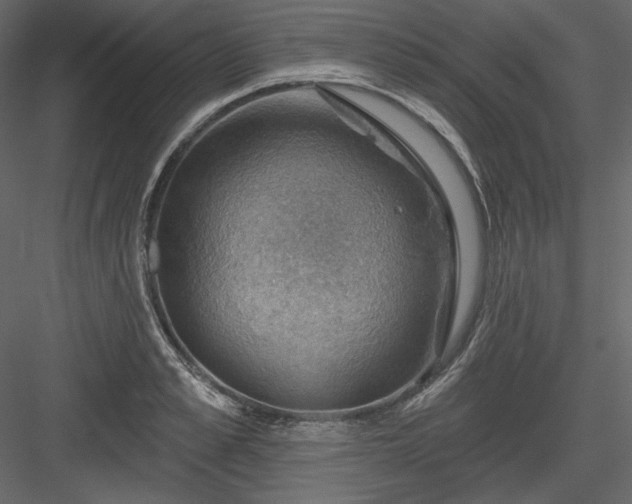 X0000083970989200702232013