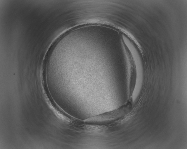 X0000083970991200702232013