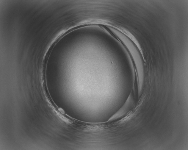 X0000083970997200702232013