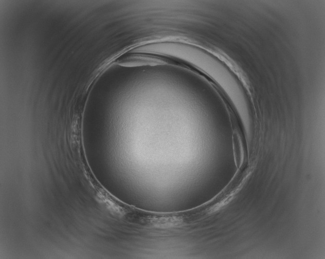 X0000083971001200702232013