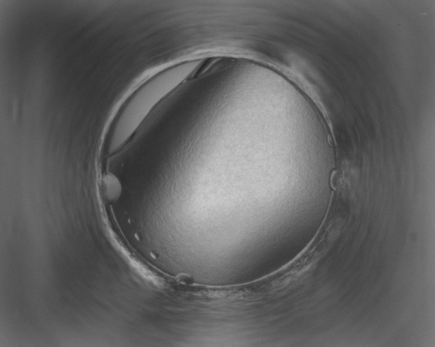 X0000083971005200702232013