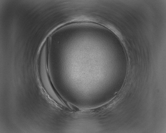 X0000083971008200702232013