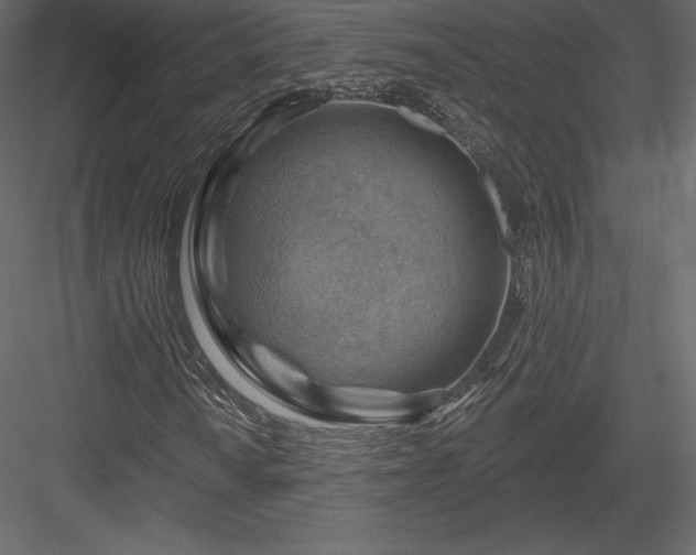 X0000083971010200702232012