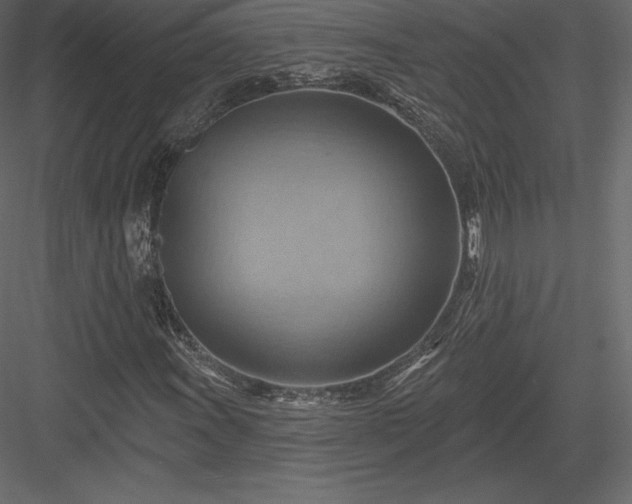 X0000083971011200702232012