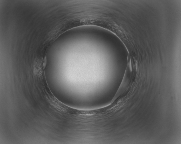 X0000083971012200702232012