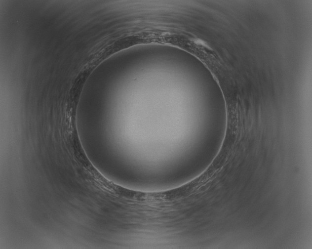 X0000083971013200702232012