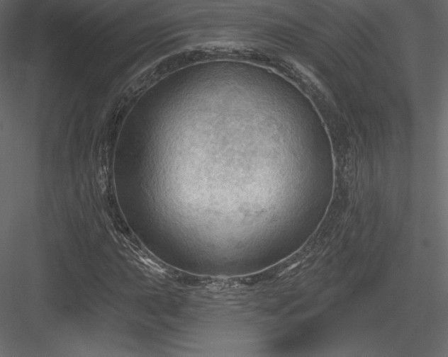 X0000083971015200702232012