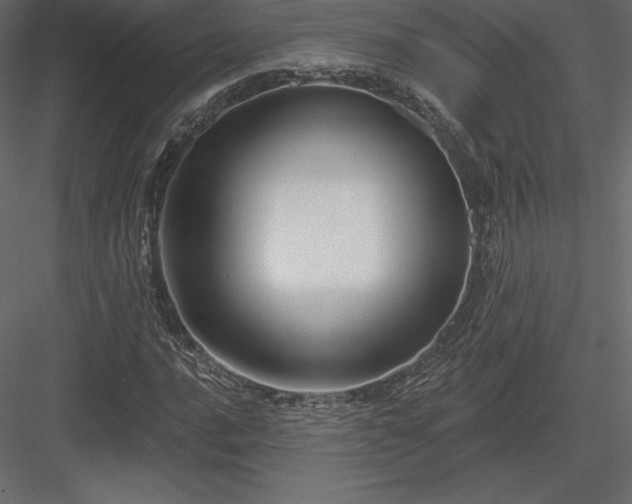 X0000083971016200702232012
