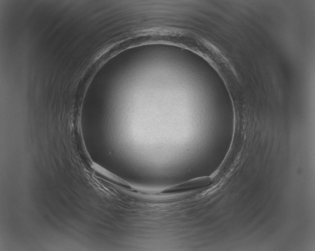 X0000083971017200702232012