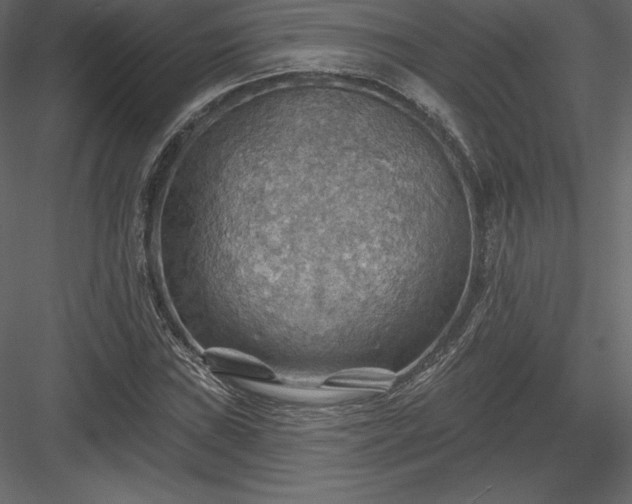 X0000083971019200702232012