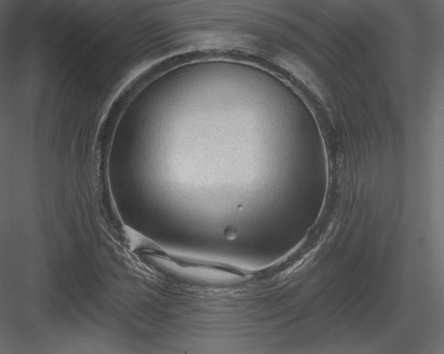 X0000083971021200702232012