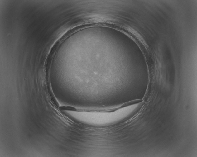 X0000083971023200702232012