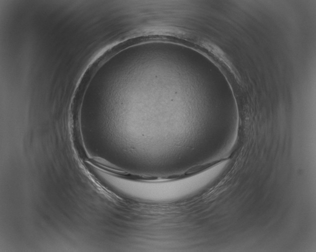 X0000083971024200702232012