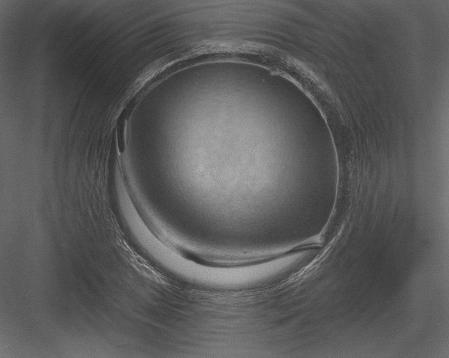 X0000083971025200702232012