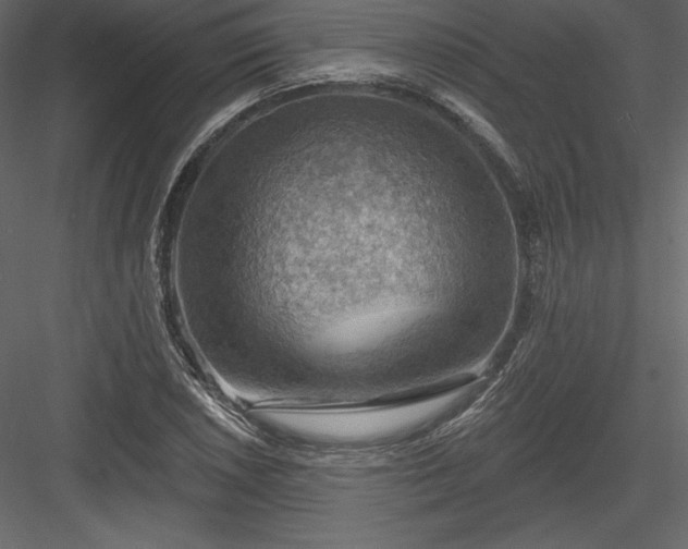 X0000083971026200702232012