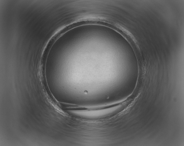 X0000083971029200702232012