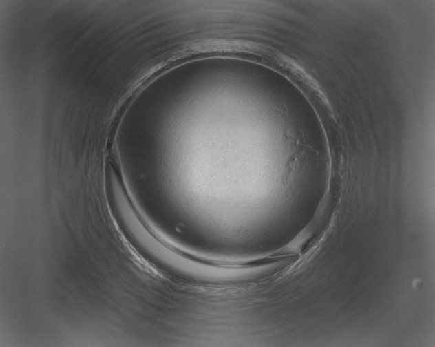 X0000083971033200702232012