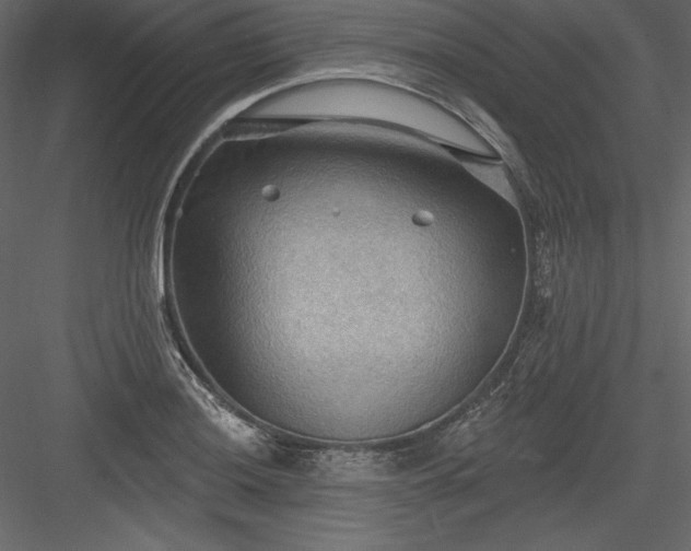 X0000083971036200702232012