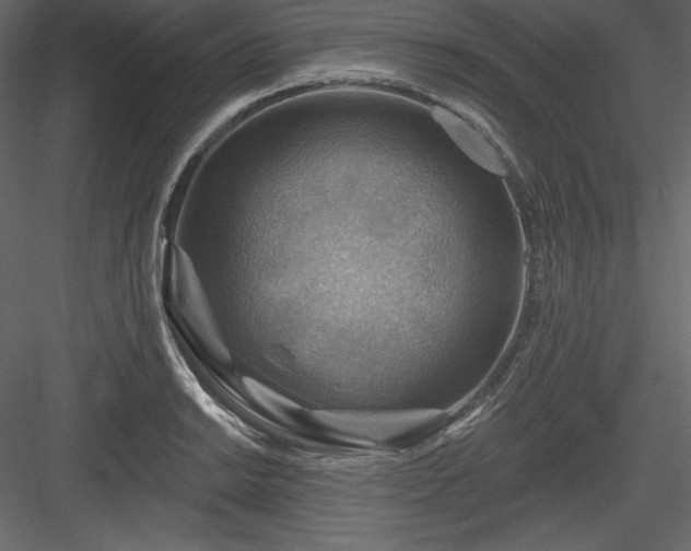 X0000083971038200702232012