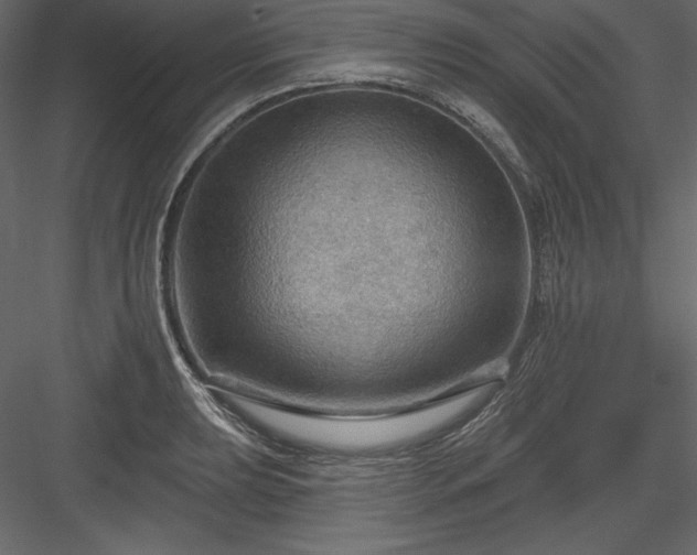 X0000083971039200702232012