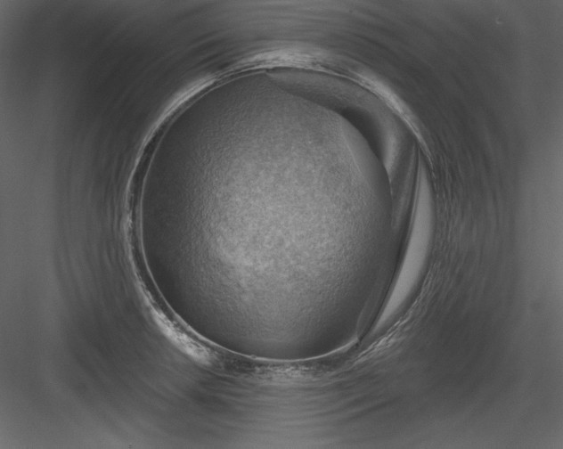 X0000083971042200702232012
