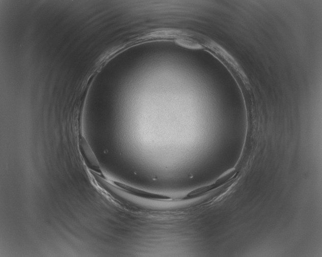X0000083971049200702232013