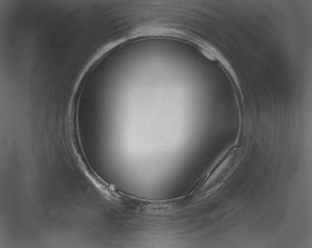 X0000083971053200702232013