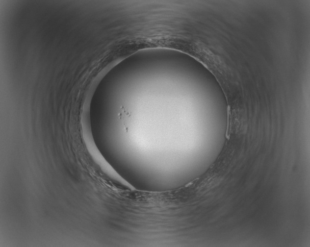 X0000083971057200702232012