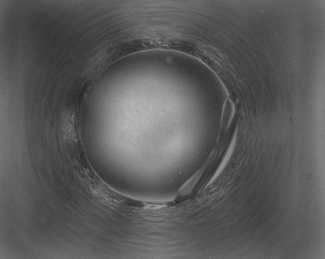 X0000083971060200702232012