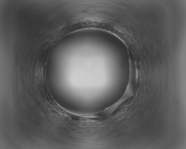 X0000083971061200702232012
