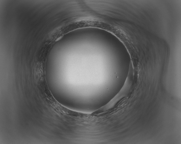 X0000083971062200702232012