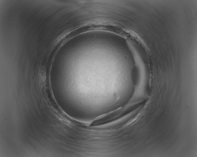 X0000083971065200702232012