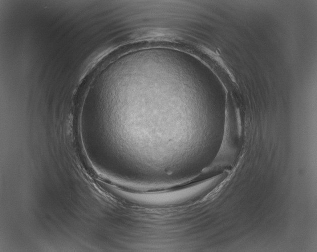 X0000083971066200702232012