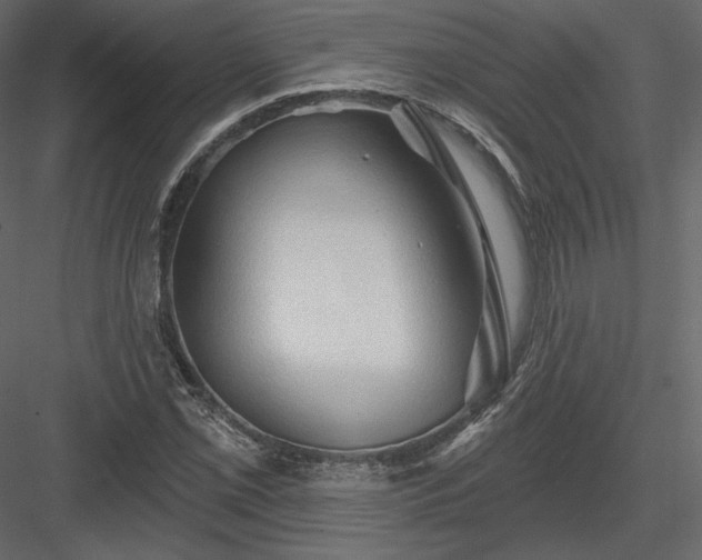 X0000083971069200702232012
