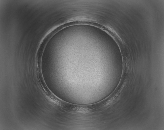 X0000083971070200702232012