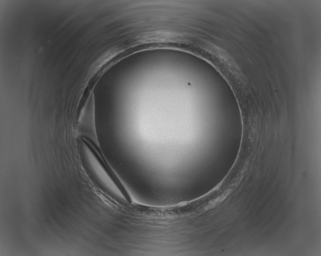 X0000083971073200702232012