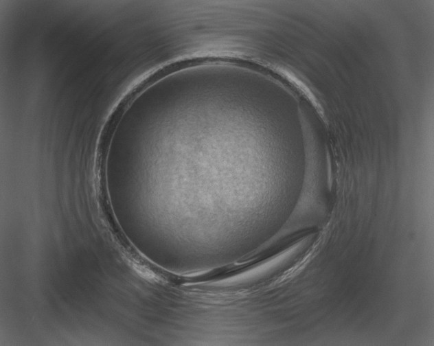 X0000083971077200702232011