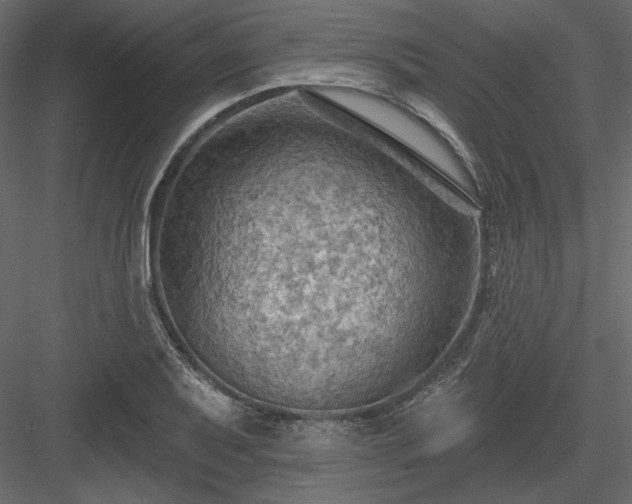 X0000083971079200702232011